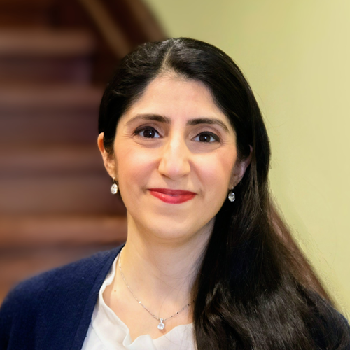 Photo of Professor Elham Marzi